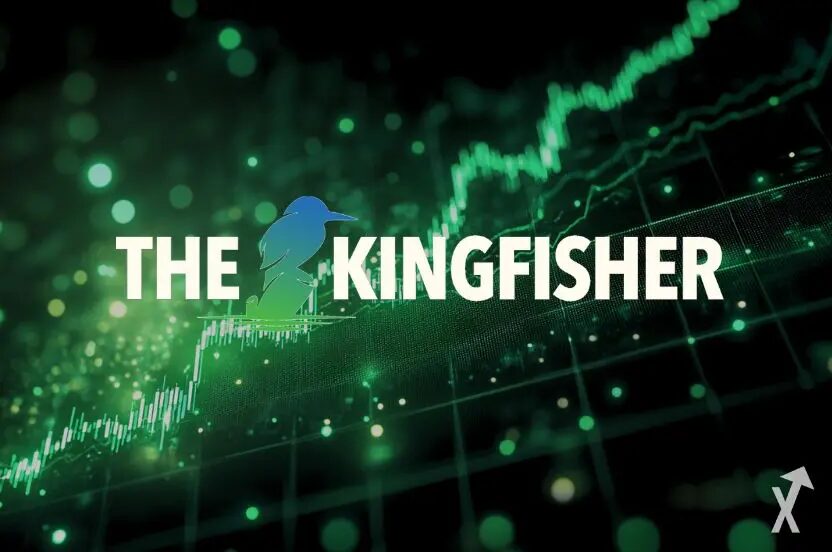 TheKingfisher : Qu&rsquo;est-ce que cette plateforme et à quoi ça sert en crypto ?