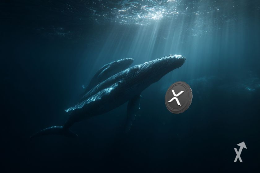 Des baleines de XRP