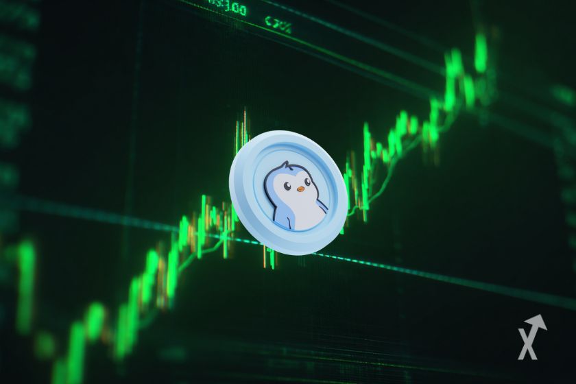 Le token PENGU