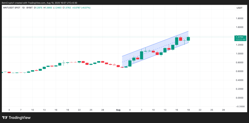 MNT/UDS daily chart 
