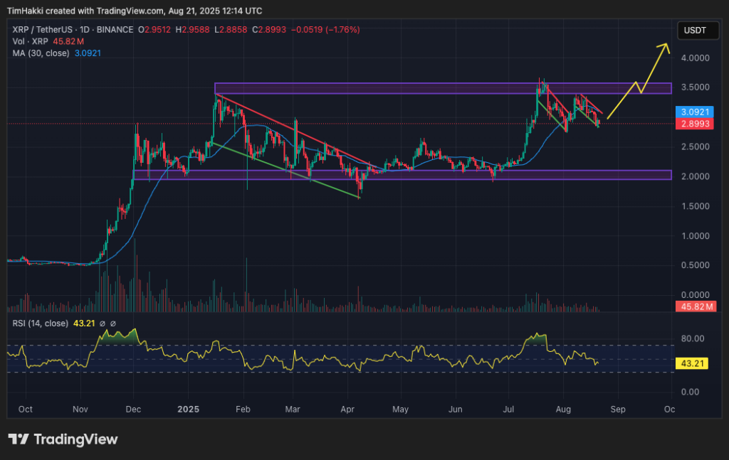 Xrp daily chart