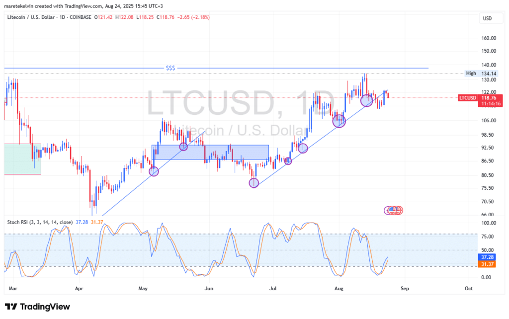 Litecoin daily chart