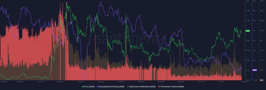 graphique de l'activité des développements sur cardano