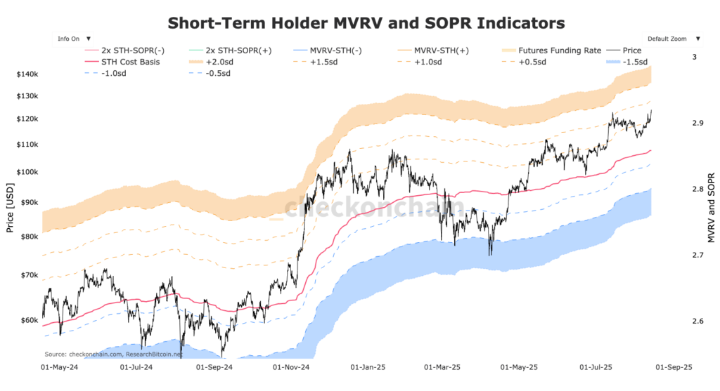 graphique STH MVRV indicator bitcoin btc