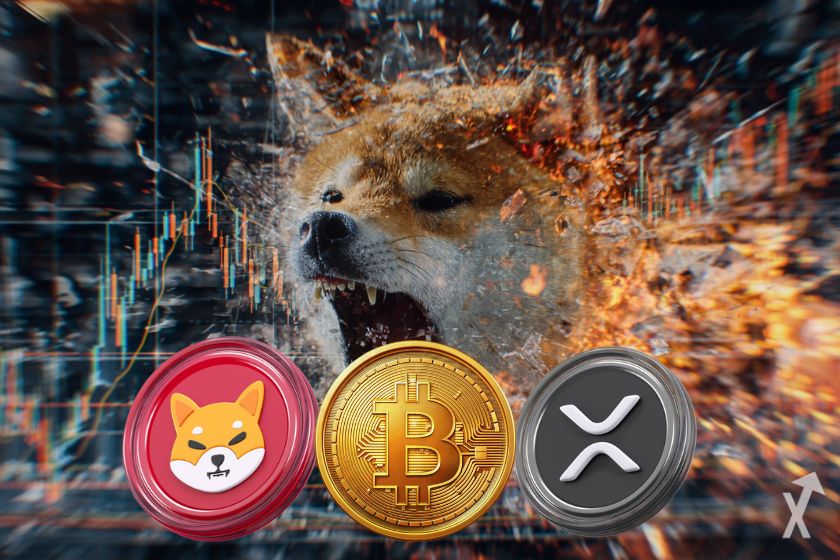 xrp bitcoin shiba inu