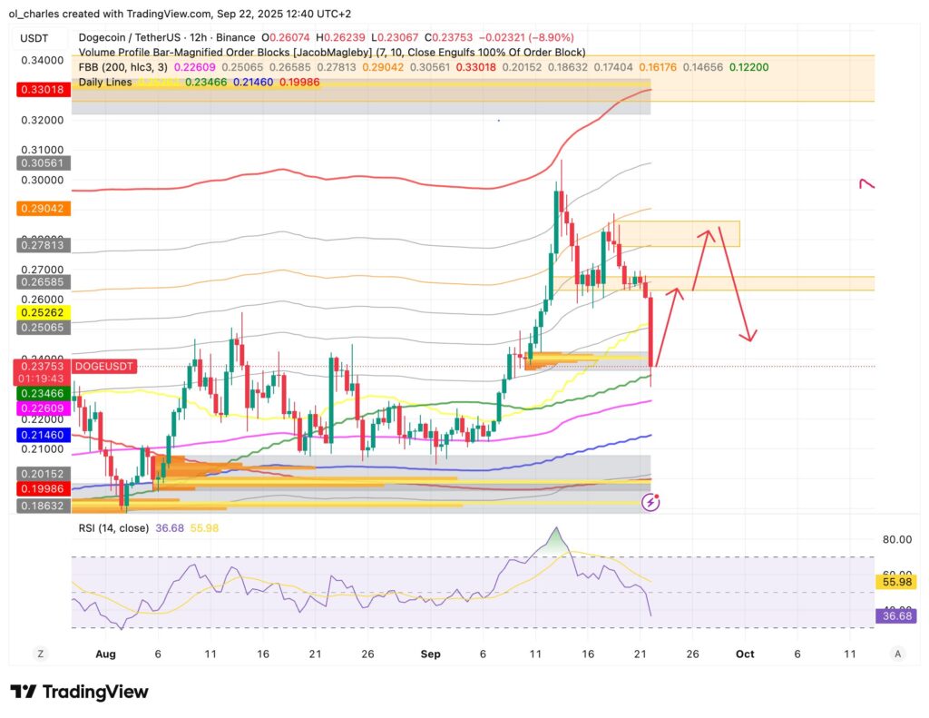 cours du DOGE dogecoin en 12H