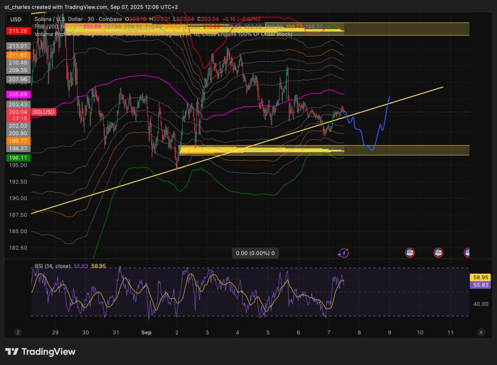 cours du SOL en 30 minutes