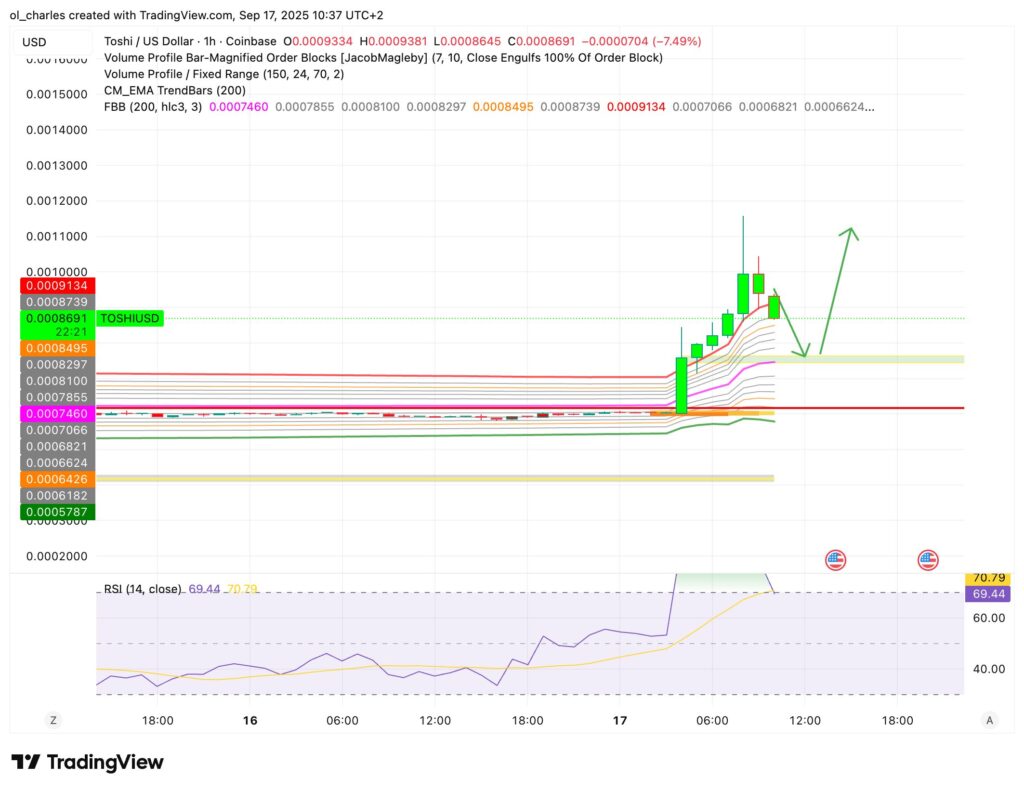cours du Toshi en 45 minutes