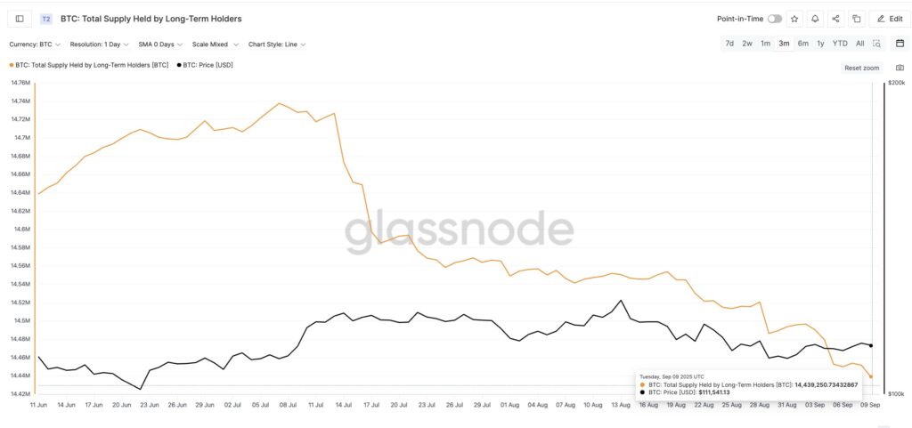 graphique des LTH BTC