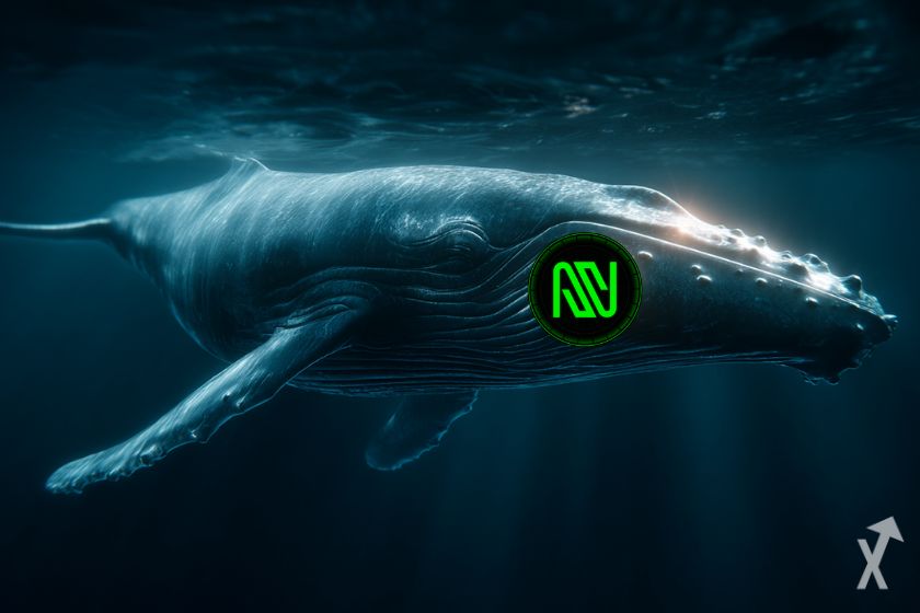 nosana nos