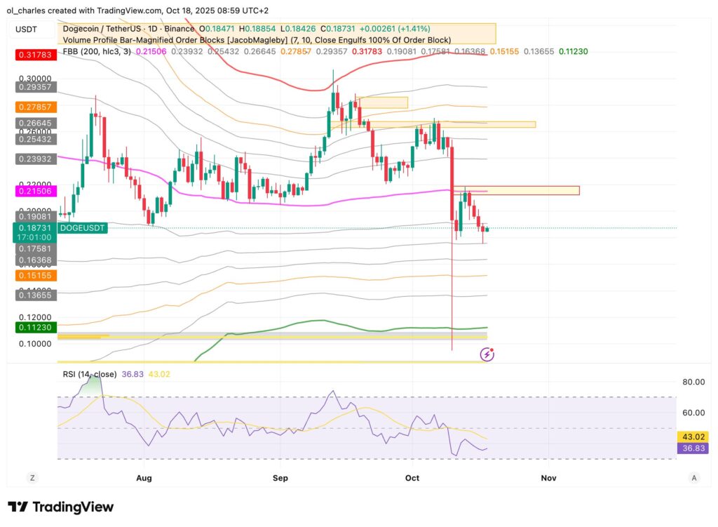 graphique du cours du DOGE en 1 jour avec FBB
