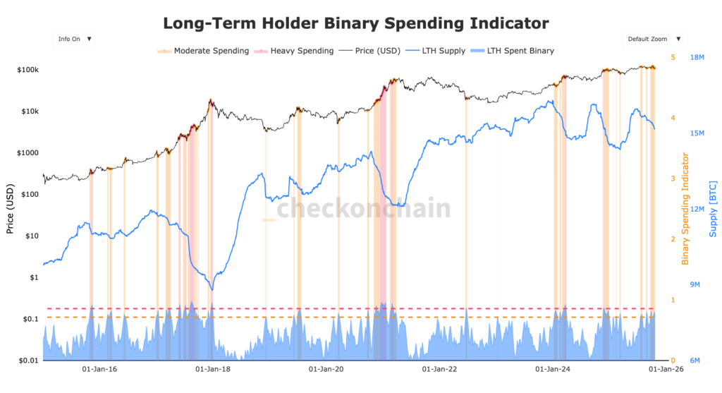 graphique des dépenses des LTH Bitcoin