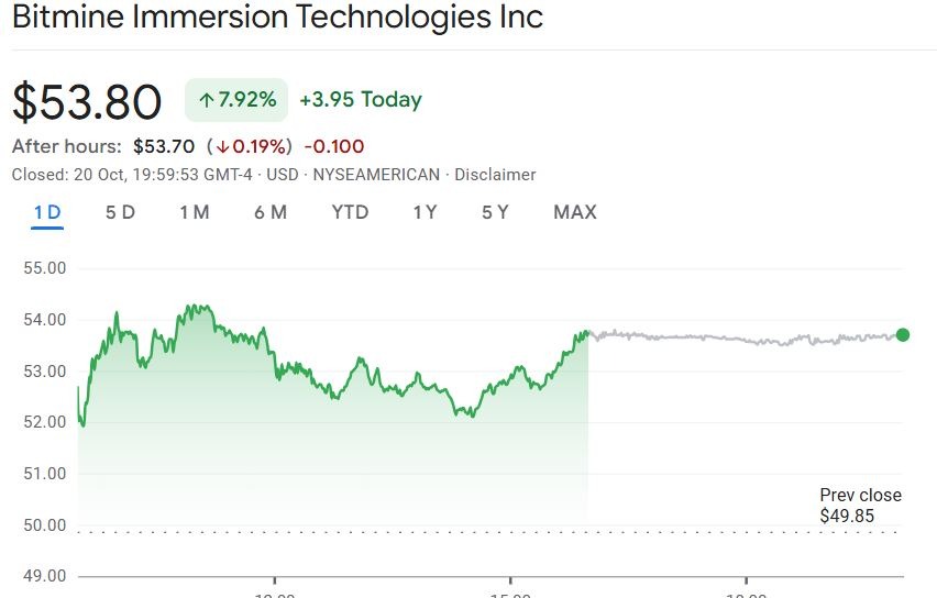 BitMine’s stock gained over 7% on Monday night. 
