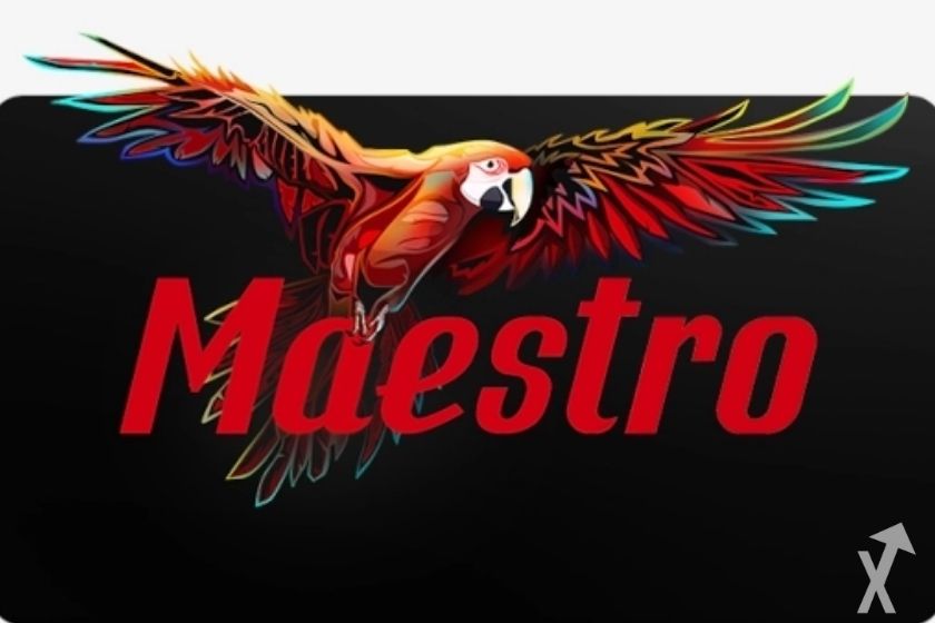 maestro cover