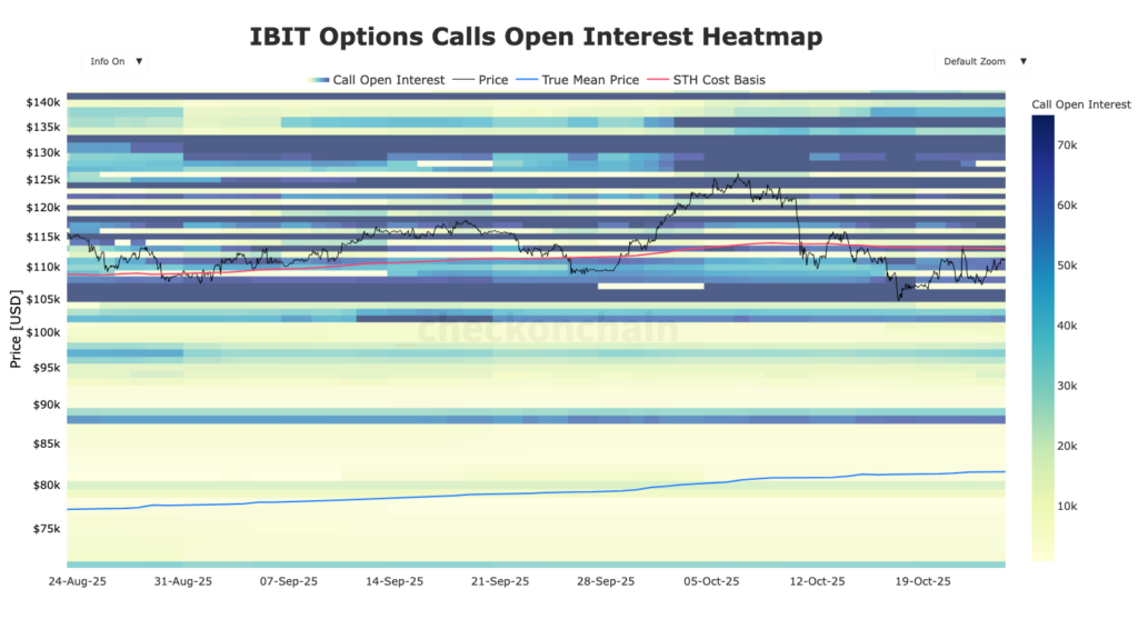 graphique de la carte thermique des put calls pour les ETF Bitcoin IBIT 