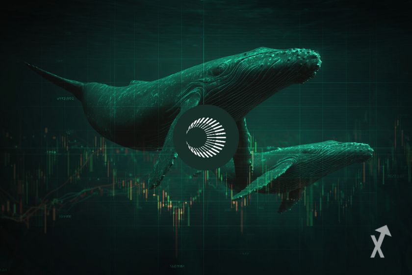 Le logo XPL avec des baleines