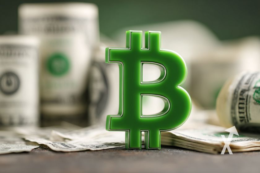 Logo Bitcoin en vert avec des billets de dollars en fond