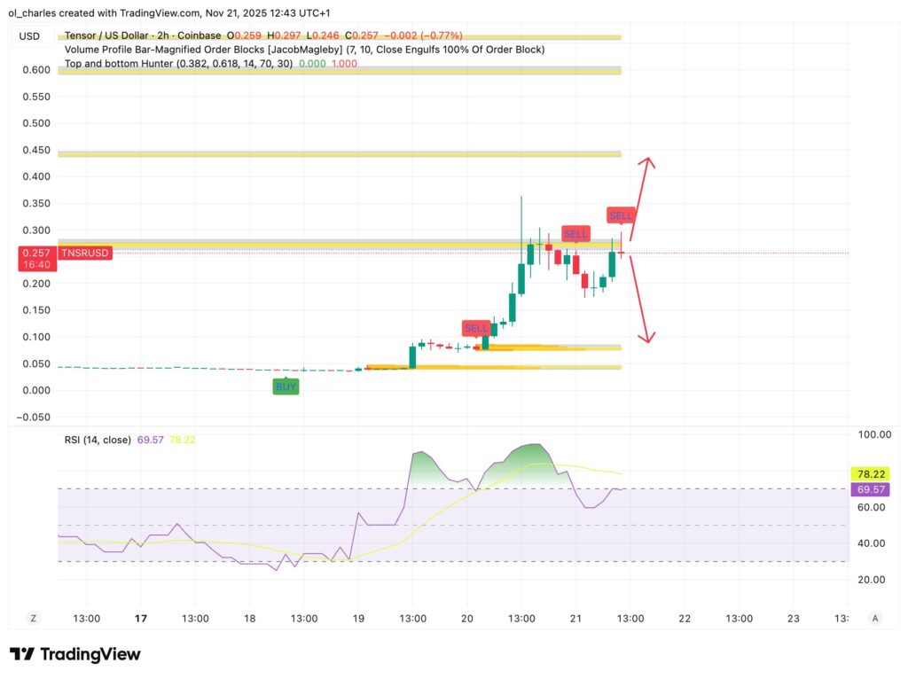 cours du tensor TNSR en 2 heures avec Order Blocks et RSI
