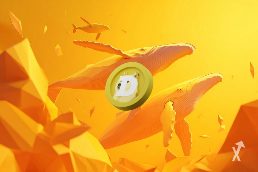 Des baleines nageant dans l'eau jaune avec le logo Dogecoin au centre