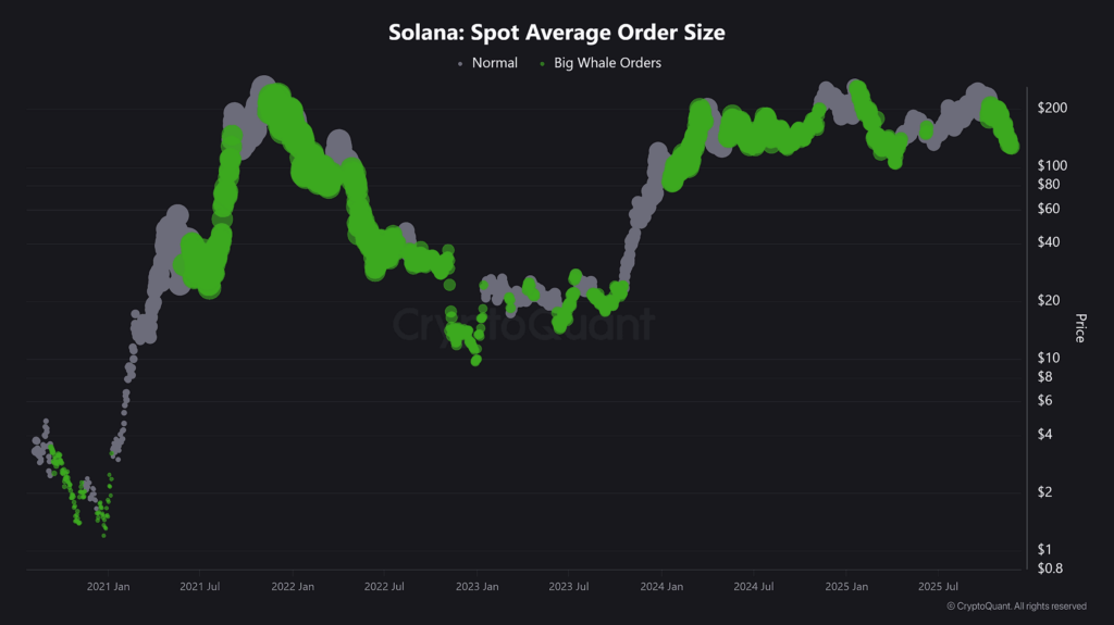 Solana buy spot des whales en points verts sur le graphique du cours