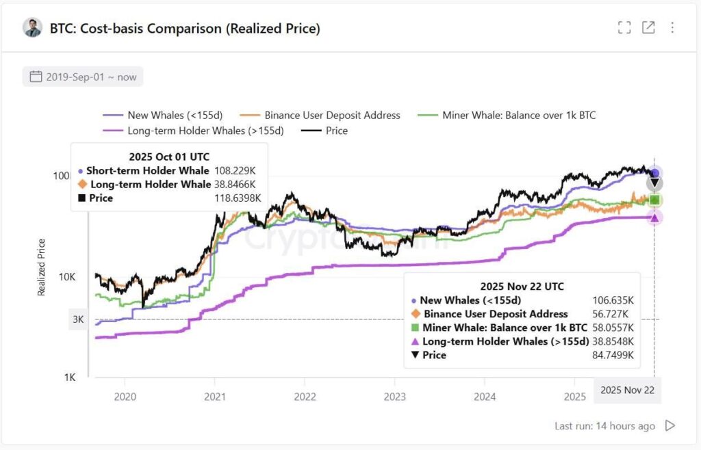graphique cost basis des baleines Bitcoin avec courbes de différentes couleurs