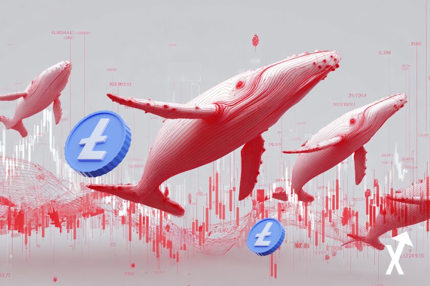 baleines rouges crypto litecoin sur fond trading chart rouge
