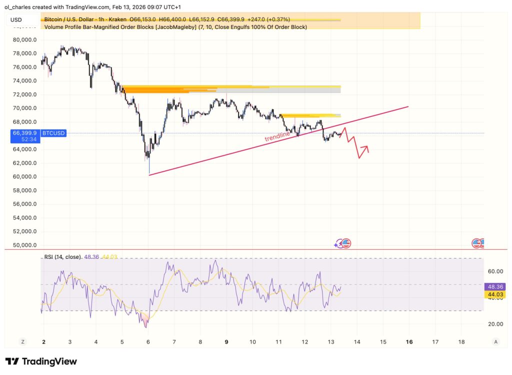 cours du Bitcoin en 1H avec order block et RSI