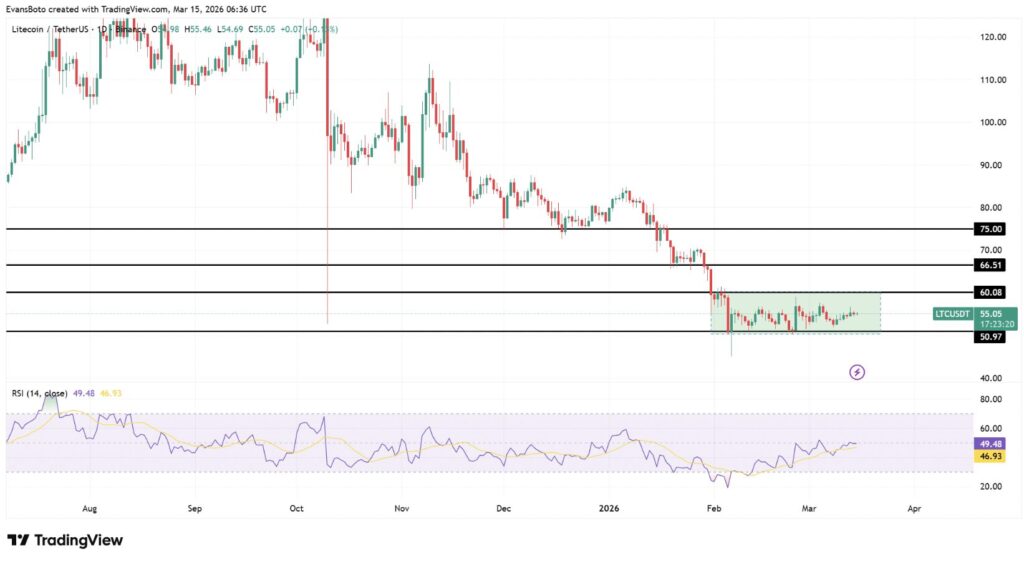 Graphique TradingView du Litecoin (LTC/USDT) montrant une phase de consolidation entre le support des 50,97 $ et la résistance des 60,08 $, avec RSI proche de la zone neutre indiquant un possible breakout.