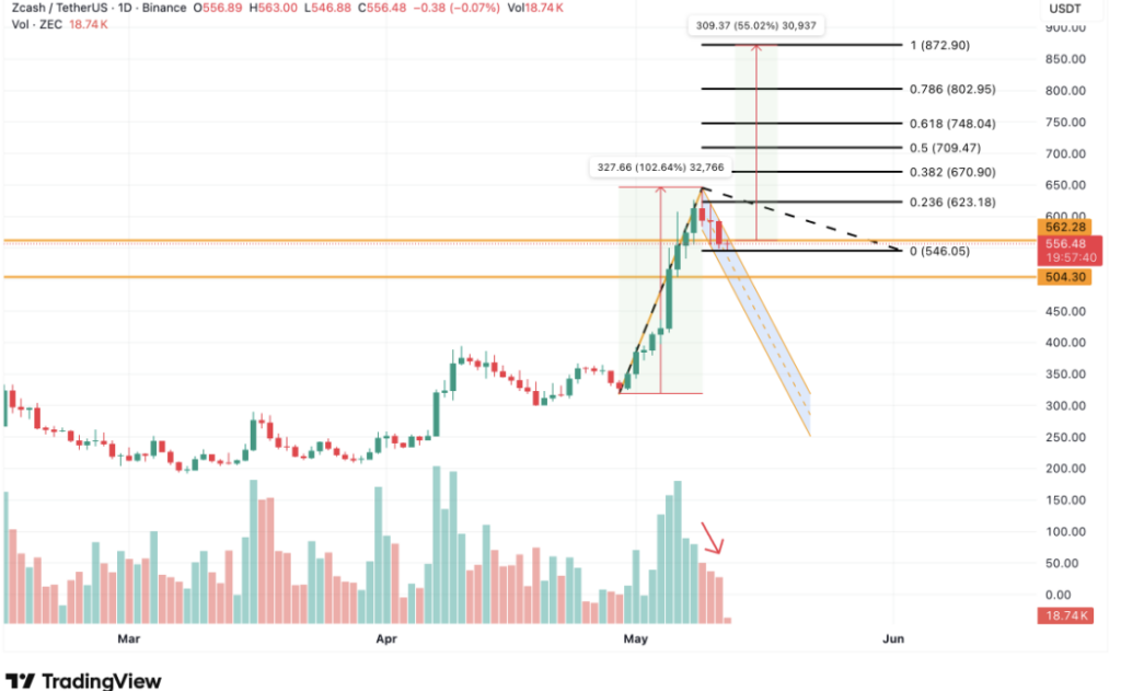 Zcash / USDT
Graphique journalier ZEC/USDT (Binance) à 556 $, après un pump de +102 % suivi d'une projection baissière en wedge descendant vers 250 $.