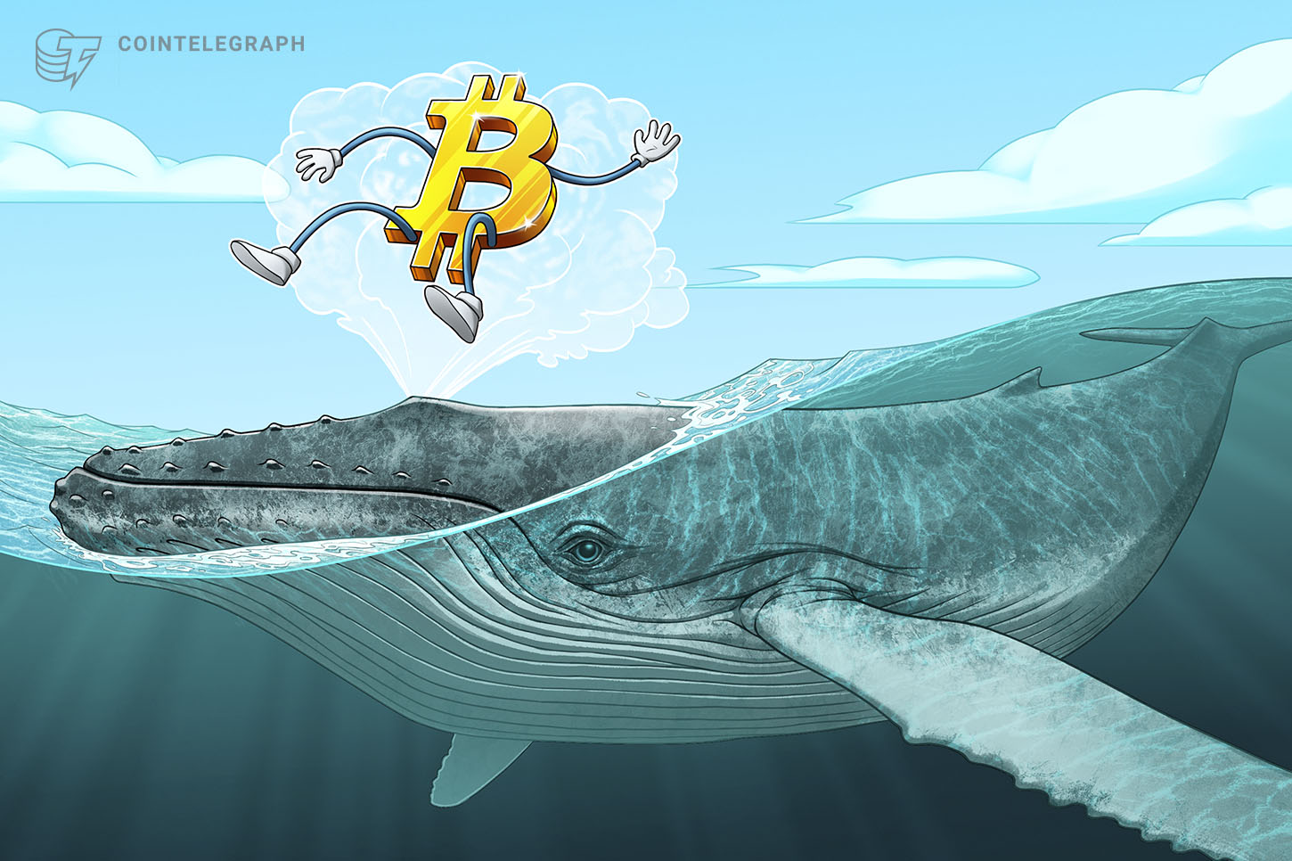 Les baleines crypto accumulent massivement : le bear market touche-t-il à sa fin ?
