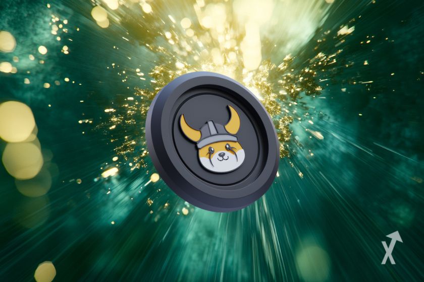 Cripto moeda FLOKI, acess&iacute;vel financeiramente.