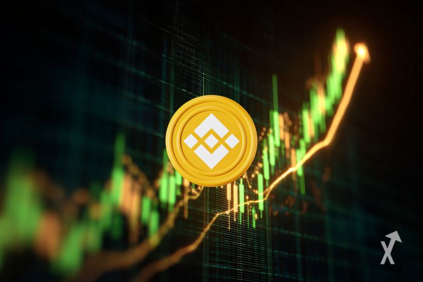 Moeda digital BNB: Binance Coin.