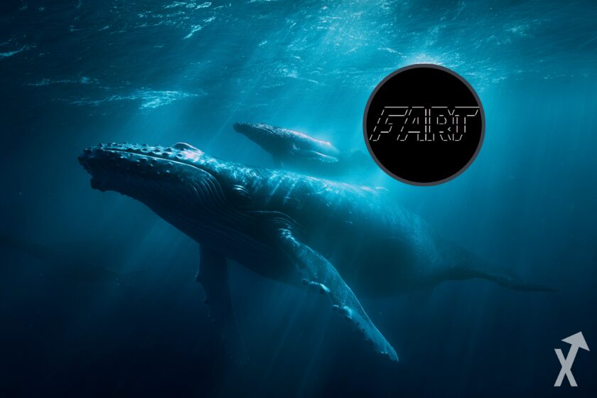 Baleias fartcoin em cripto moeda ajustado.