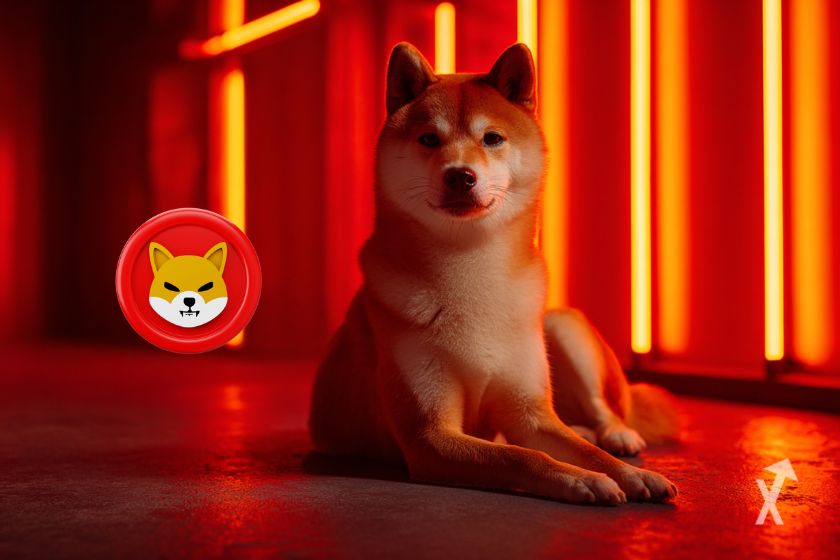 O token SHA vermelho e um c&atilde;o Shiba Inu real em fundo vermelho.