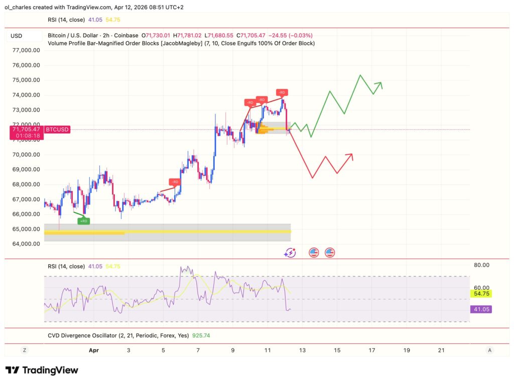 Gráfico do preço do Bitcoin em 2 horas com RSI e order block