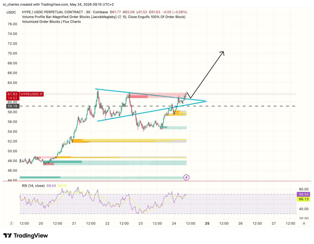 Gráfico do preço do HYPE em 30 minutos com order blocks