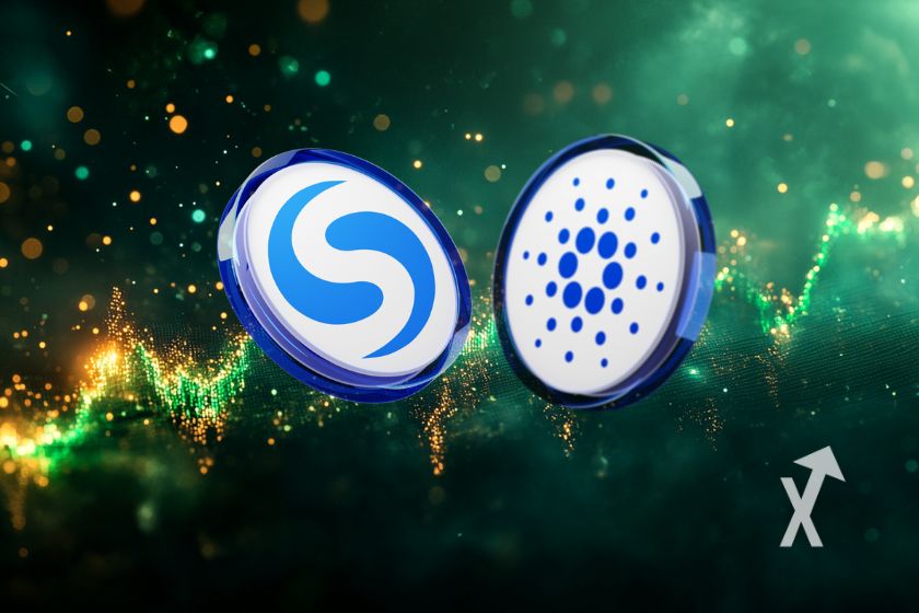 Buchcoveranalyse von INJ und ADA.