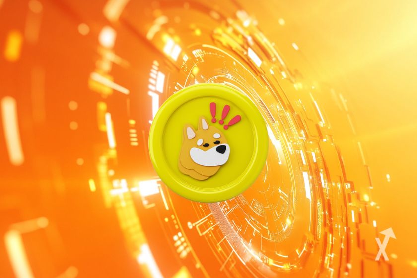 BONK token