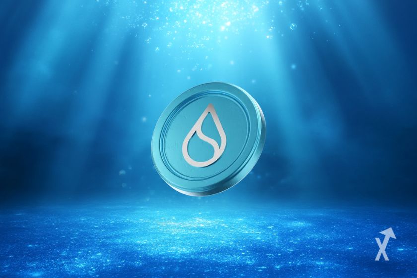 SUI token