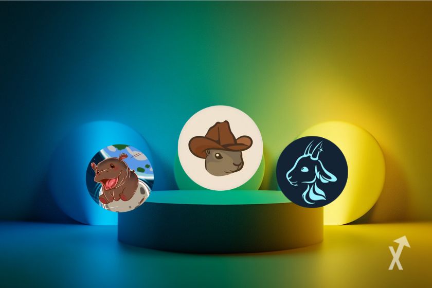 3 memecoins tokens