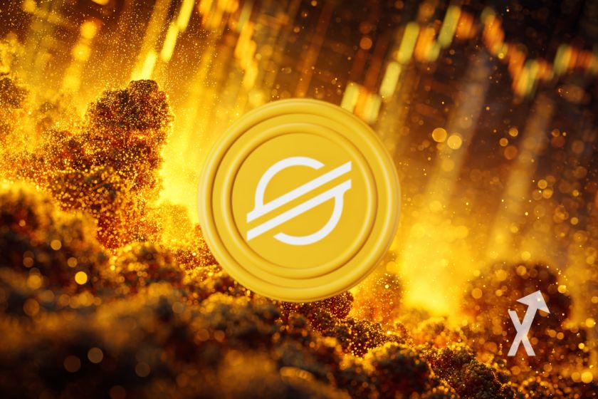 "H&uuml;lle f&uuml;r XLM Stellar"