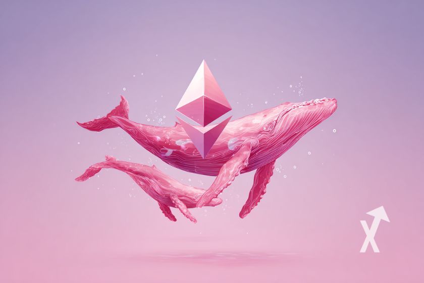 Ethereum Logo mit rosa Walen.