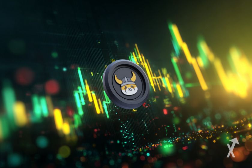 "Der FLOKI-Token - Krypto-Investmentm&ouml;glichkeit"