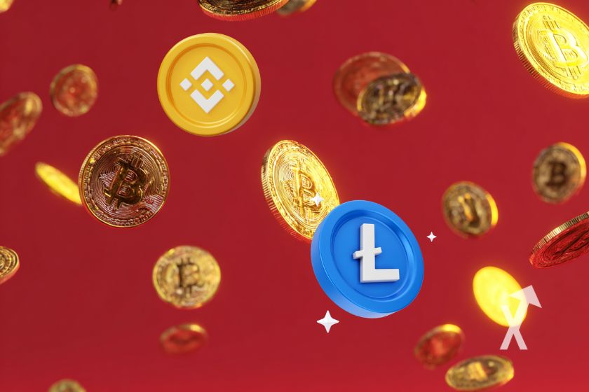 M&uuml;nzen Litecoin und BNB auf Rot.
