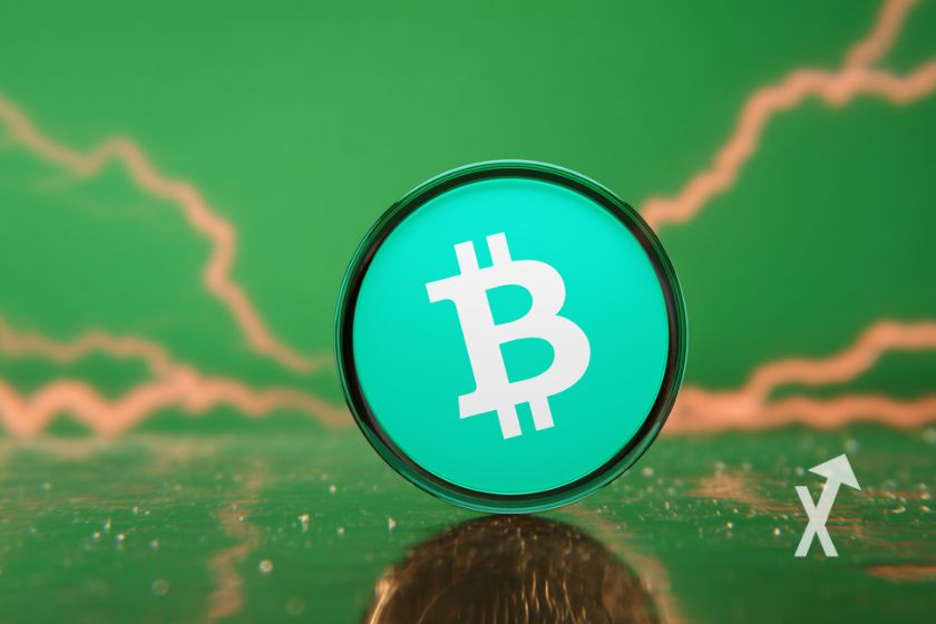Bitcoin Cash M&uuml;nze auf gr&uuml;nem Hintergrund.