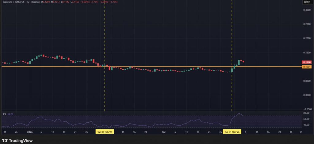 Tageschart ALGO/USDT auf Binance vom 21. Januar bis 26. April 2026. Aktueller Preis 0,1160 USDT (-3,73%). Zwei gelbe gestrichelte vertikale Linien markieren wichtige Daten: 3. Februar 2026 (lokales Tief bei 0,10 $) und 31. März 2026 (Ausbruch nach Google Quantum).