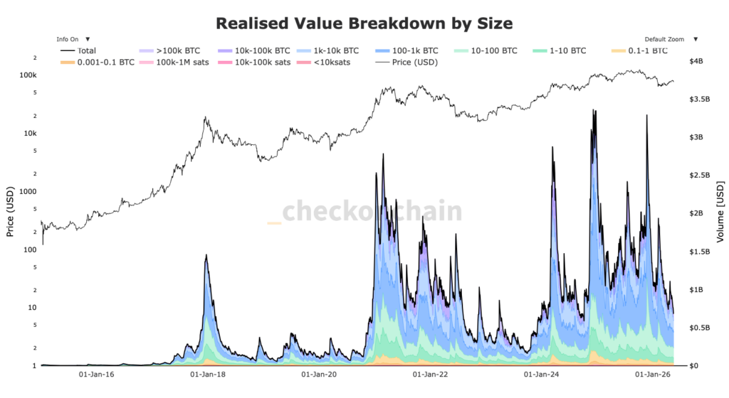 Realized Value pro Bitcoin-Kohorte in farbigen Kurven
