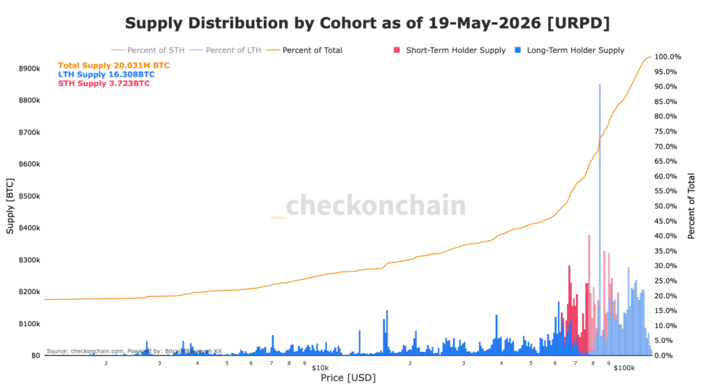 Verteilungsdiagramm der Bitcoin-Versorgung nach Kohorten