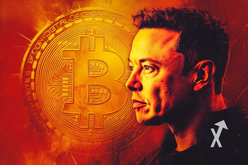 musk bitcoin