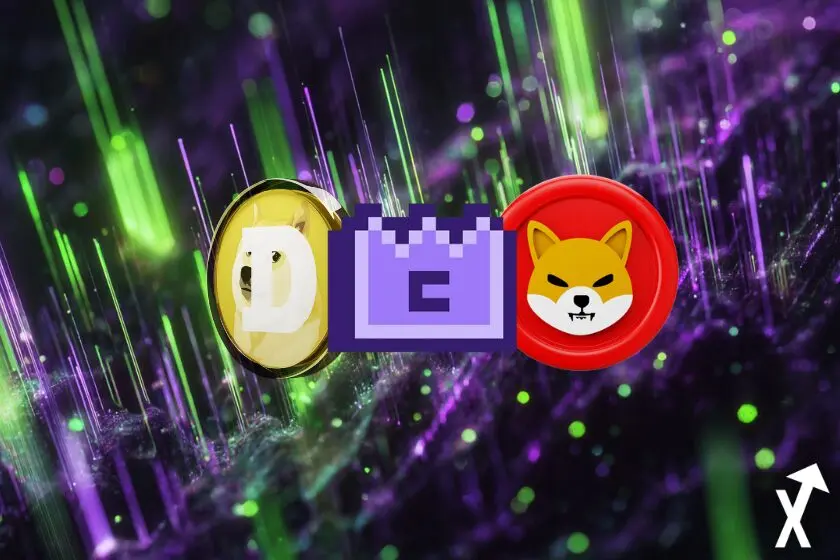 memecoins dogecoin shiba memecore coinunivers green and black